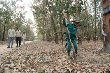 Cao su Kon Tum: Điểm sáng về công tác nông nghiệp ở Tây Nguyên